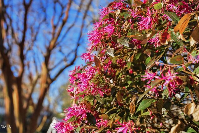 101 Frenchmans Bluff Drive, Cary, NC 27513