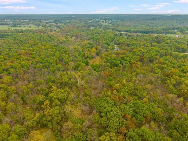 471 SE 1131 Road, Clinton, MO 64735