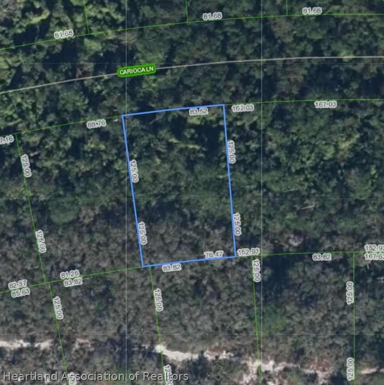 513 Carioca Lane, Lake Placid, FL 33852