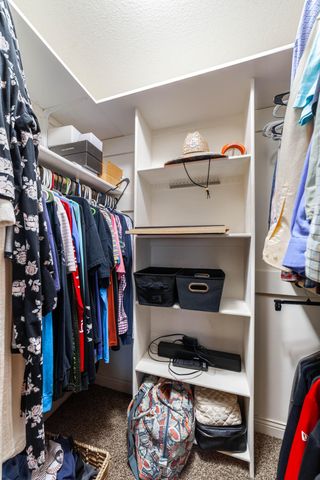 3703 FLATWATER DR, Columbia, MO 65202