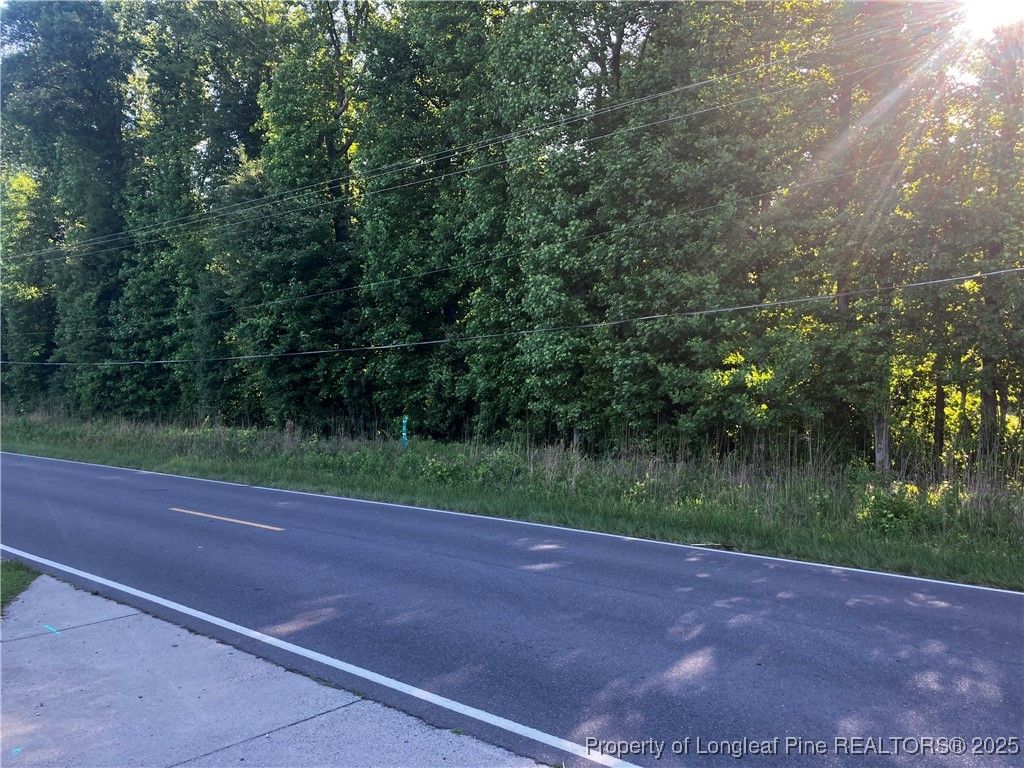 0 Lemon Springs Road, Sanford, NC 27330