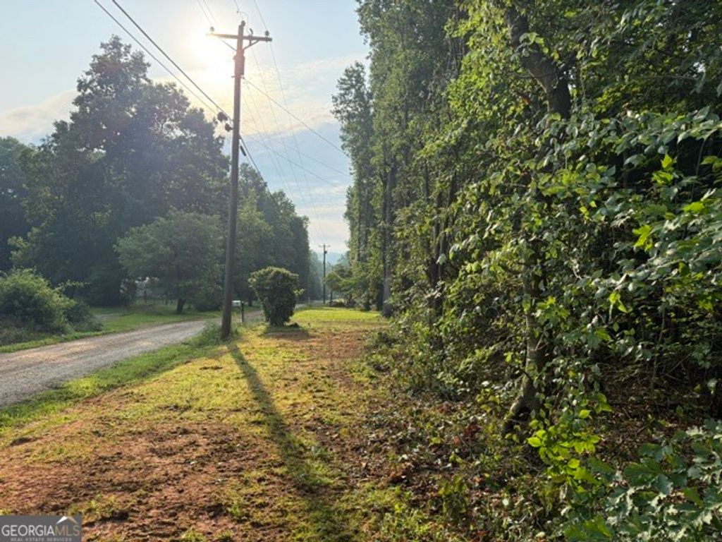 LOT 12 Rue Beauregard, Lavonia, GA 30553 — photo 5