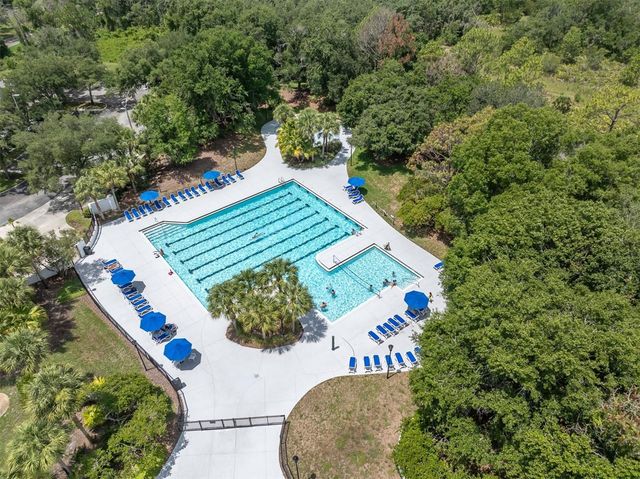 16301 DUNLINDALE DRIVE, Lithia, FL 33547