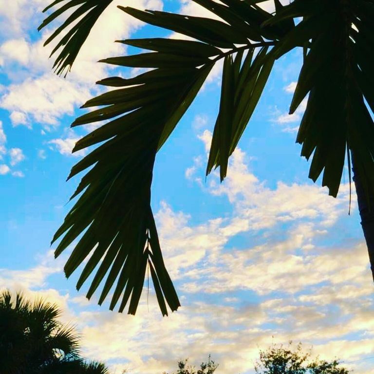 6078 Dusenburg Road, Delray Beach, FL 33484