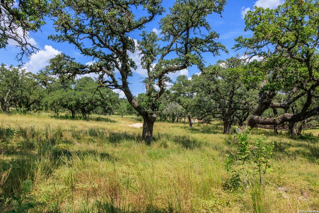 189 Fallen Acorn, Blanco, TX 78606