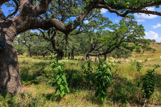 189 Fallen Acorn, Blanco, TX 78606