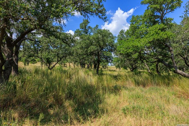189 Fallen Acorn, Blanco, TX 78606