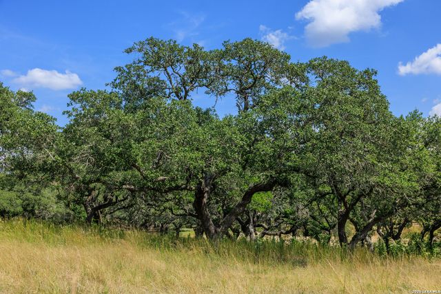 189 Fallen Acorn, Blanco, TX 78606