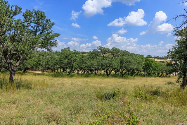 189 Fallen Acorn, Blanco, TX 78606