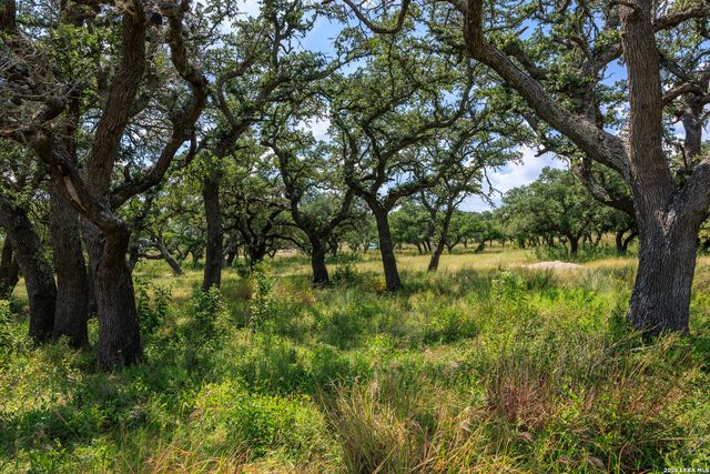 189 Fallen Acorn, Blanco, TX 78606