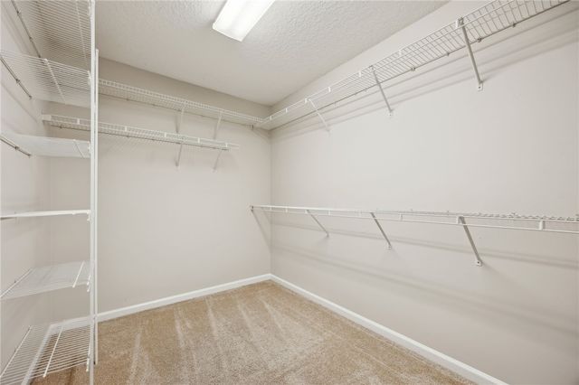 203 Cumberland Drive, Kingsland, GA 31548