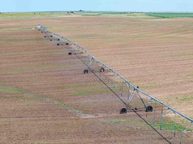 Bourquin Cattle 317 Ac, Follett, TX 79034