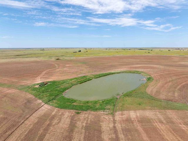 Bourquin Cattle 317 Ac, Follett, TX 79034
