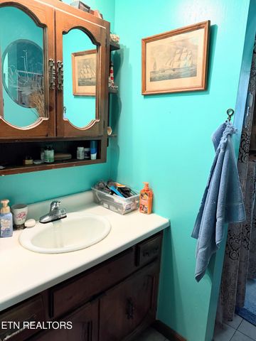 517 Bull Run Rd, Luttrell, TN 37779