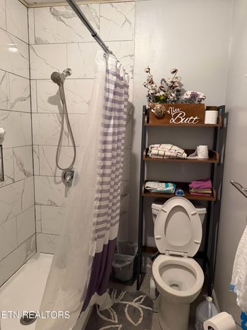 517 Bull Run Rd, Luttrell, TN 37779