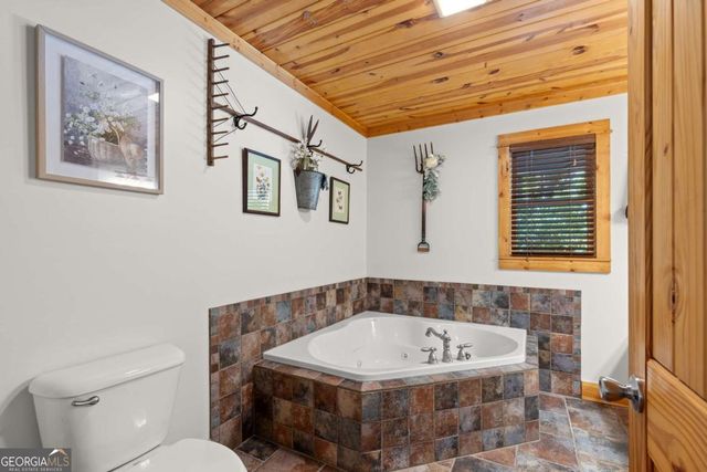 224 Dragon Tree Lane, Lakemont, GA 30552