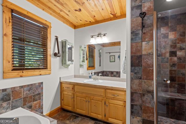 224 Dragon Tree Lane, Lakemont, GA 30552