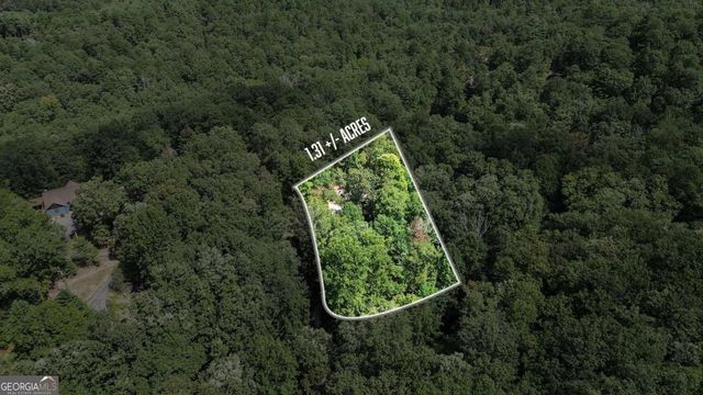 224 Dragon Tree Lane, Lakemont, GA 30552