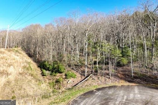 7.39AC Turner Ridge Drive, Cleveland, GA 30528