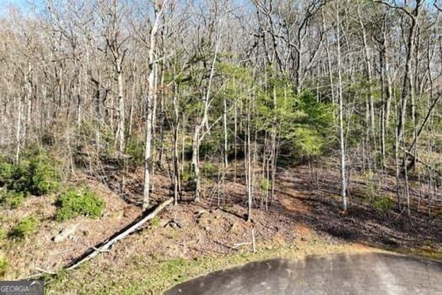 7.39AC Turner Ridge Drive, Cleveland, GA 30528