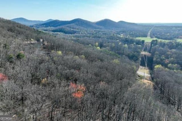 7.39AC Turner Ridge Drive, Cleveland, GA 30528