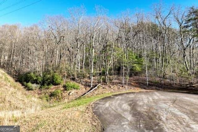 7.39AC Turner Ridge Drive, Cleveland, GA 30528