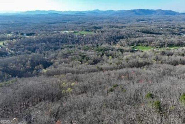 7.39AC Turner Ridge Drive, Cleveland, GA 30528