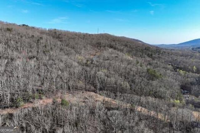 7.39AC Turner Ridge Drive, Cleveland, GA 30528