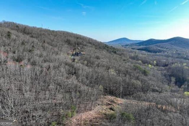 7.39AC Turner Ridge Drive, Cleveland, GA 30528