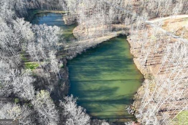 7.39AC Turner Ridge Drive, Cleveland, GA 30528