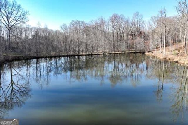 7.39AC Turner Ridge Drive, Cleveland, GA 30528