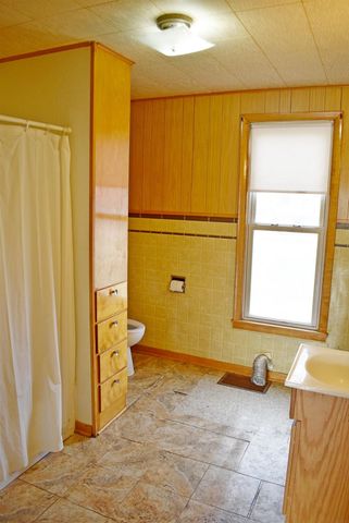 233 Vine Street, Osage, IA 50461