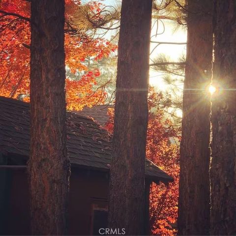 716 Elysian, Big Bear City, CA 92314