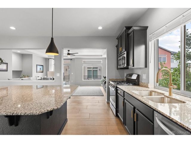 4429 Vindaloo Dr, Castle Rock, CO 80109