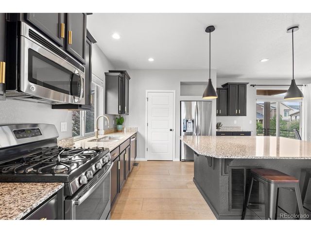 4429 Vindaloo Dr, Castle Rock, CO 80109