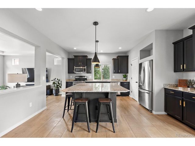 4429 Vindaloo Dr, Castle Rock, CO 80109