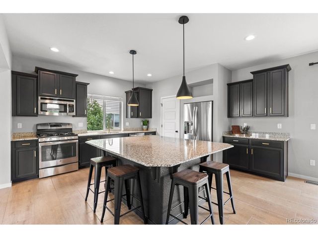 4429 Vindaloo Dr, Castle Rock, CO 80109