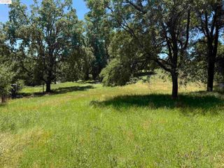 0000 Meadow Lane, Sonora, CA 95370