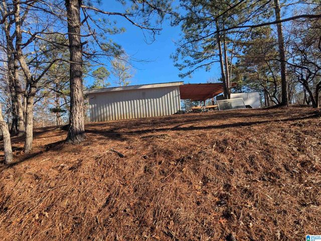 3008 ROCKY MOUNT CHURCH ROAD, Sycamore, AL 35149