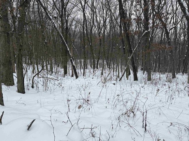 3863 5th Lot 8 Drive, Wisconsin Dells, WI 53965