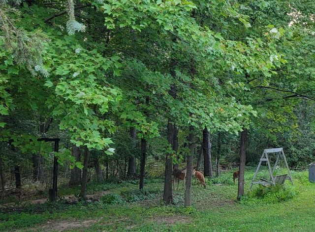 3863 5th Lot 8 Drive, Wisconsin Dells, WI 53965