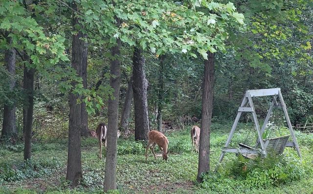 3863 5th Lot 8 Drive, Wisconsin Dells, WI 53965