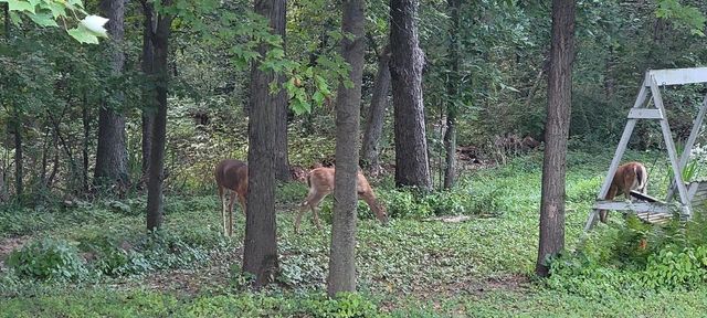 3863 5th Lot 8 Drive, Wisconsin Dells, WI 53965