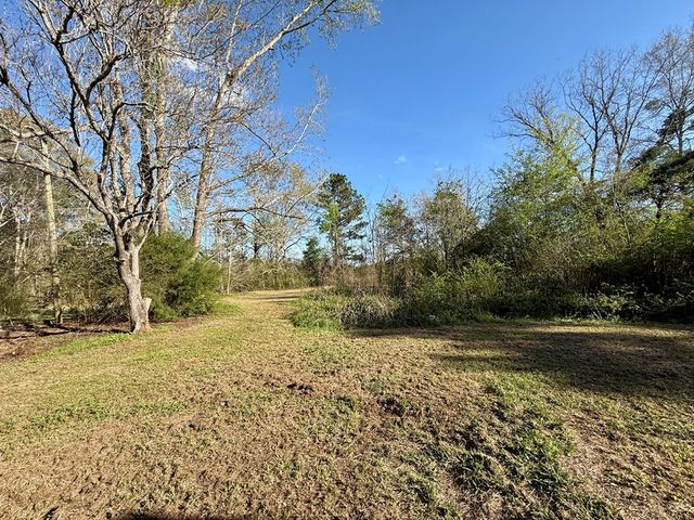 6304 State Line Rd, Cottonwood, AL 36320