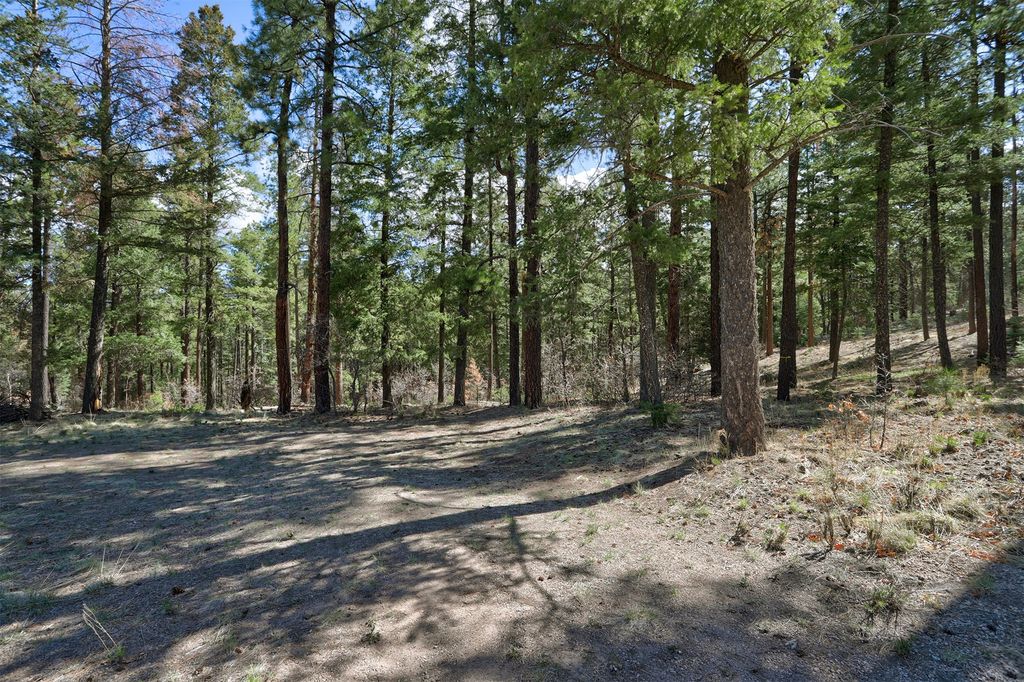 Image 12 of property listing at Lot B Lands of Hotchkiss FR 10, Jemez Springs, NM 87025