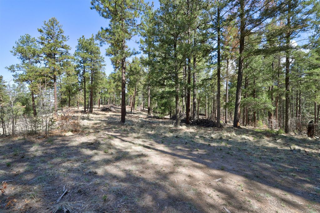 Image 13 of property listing at Lot B Lands of Hotchkiss FR 10, Jemez Springs, NM 87025