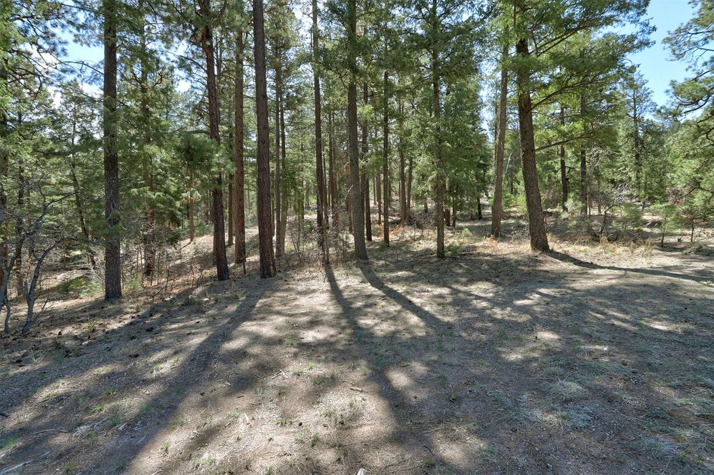 Image 14 of property listing at Lot B Lands of Hotchkiss FR 10, Jemez Springs, NM 87025