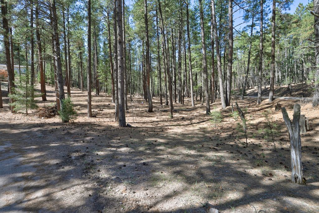Image 5 of property listing at Lot B Lands of Hotchkiss FR 10, Jemez Springs, NM 87025