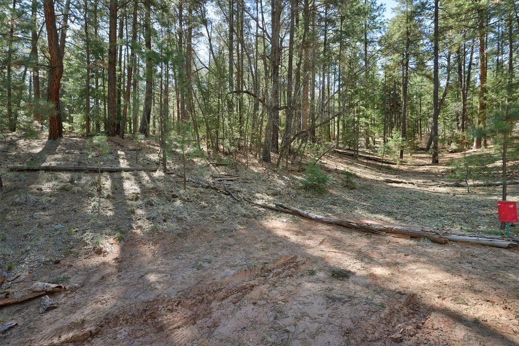Image 7 of property listing at Lot B Lands of Hotchkiss FR 10, Jemez Springs, NM 87025