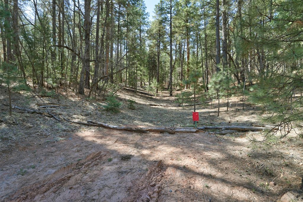 Image 8 of property listing at Lot B Lands of Hotchkiss FR 10, Jemez Springs, NM 87025